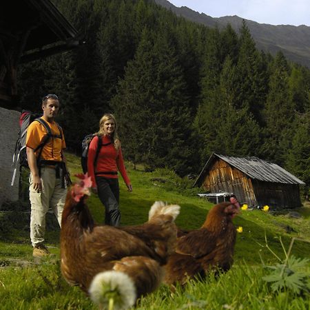 Aparthaus Camping Stubai Neustift im Stubaital Extérieur photo